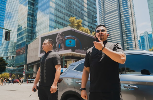 VIP Protection Services